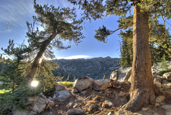 Sunrise on a beautiful section of the Tahoe Rim Trail next to Star Lake in Lake Tahoe, CA.