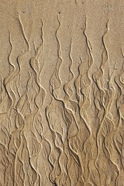 Pattern on sand, close-up - Offset