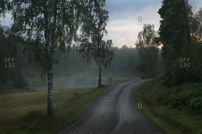 Foggy landscape with road - Offset