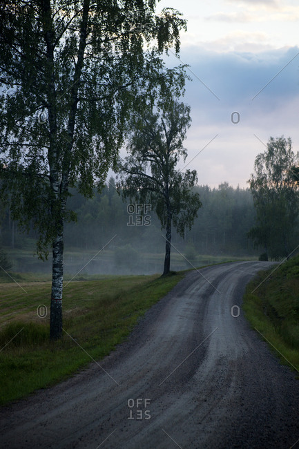Foggy landscape with road - Offset