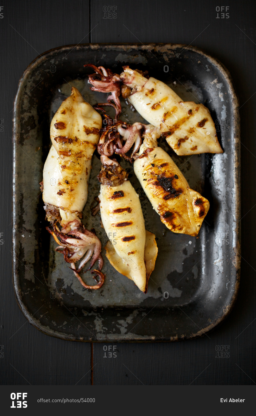 Grilled squids on baking dish.