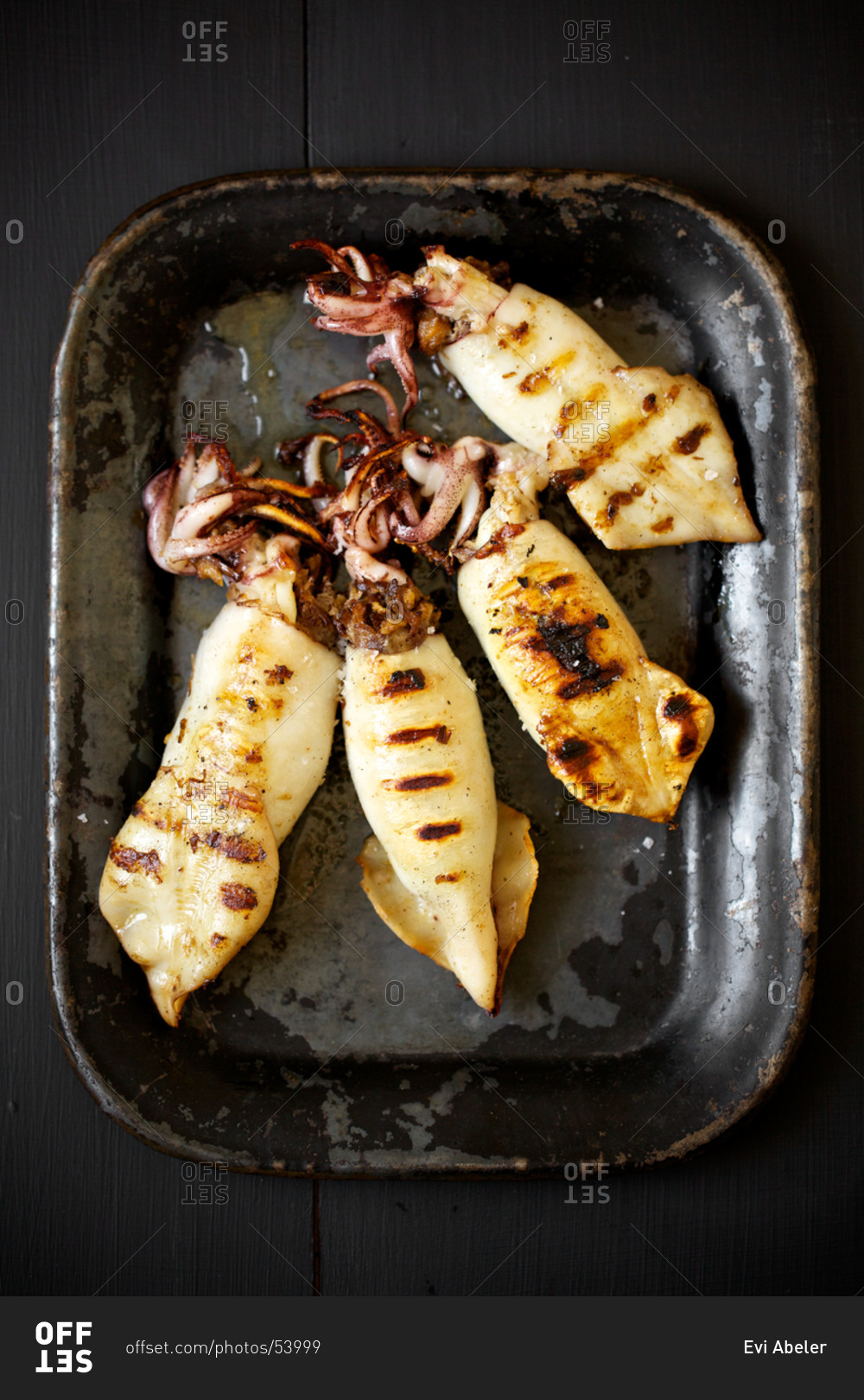Grilled squids on baking dish.