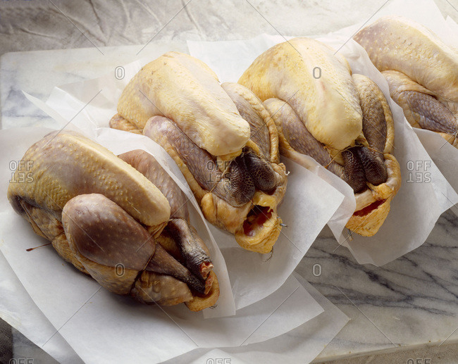 guinea fowl meat stock photos OFFSET