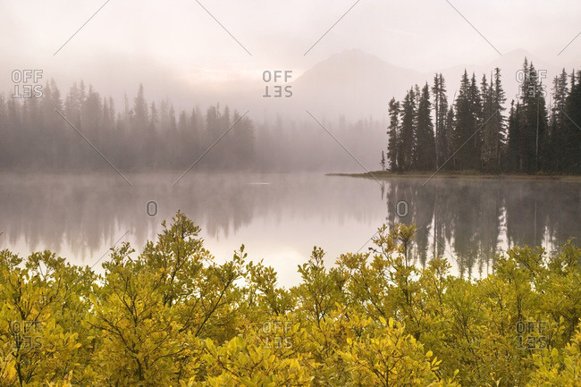 USA,  Oregon,  Willamette National Forest Foggy sunrise on Scott Lake