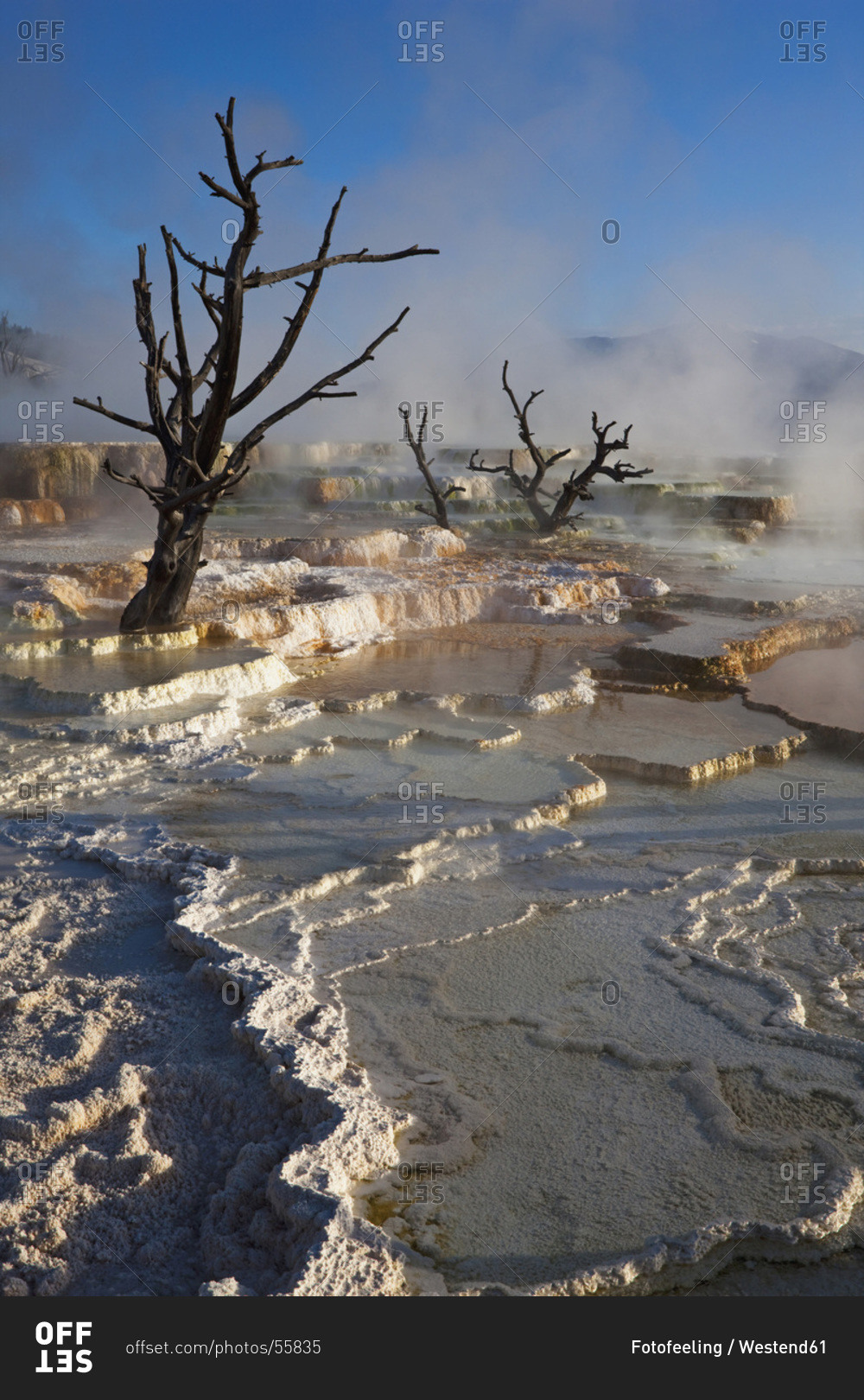 USA, Wyoming, Yellowstone National Park, Mammoth Hot Springs Terrace