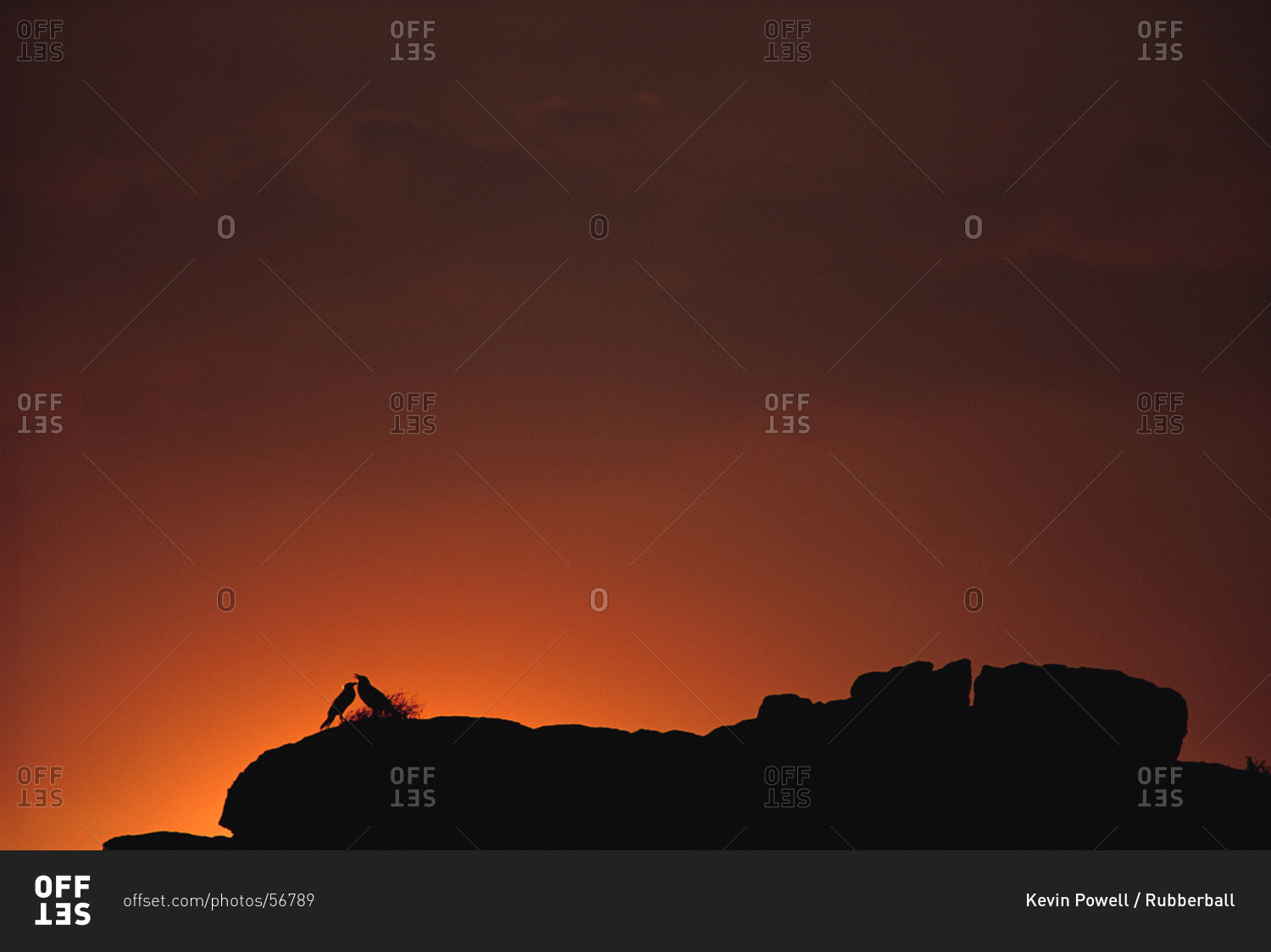 Silhouette of birds on rock formation