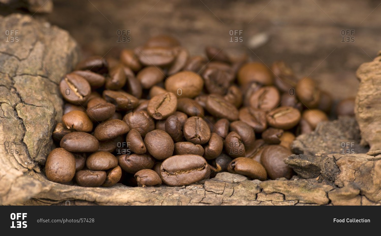 Coffee beans on a wooden surface