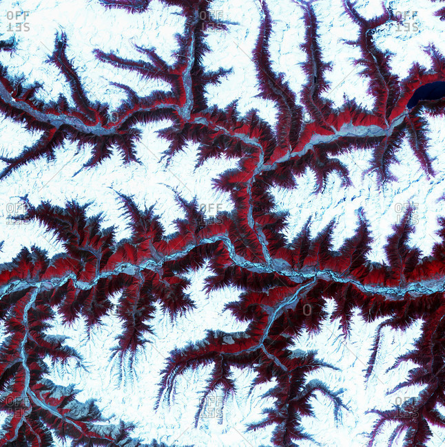 Terra Satellite image of Eastern Himalayas. North is at top. Snow is white, vegetation is red, barren areas are light blue and water is dark blue.