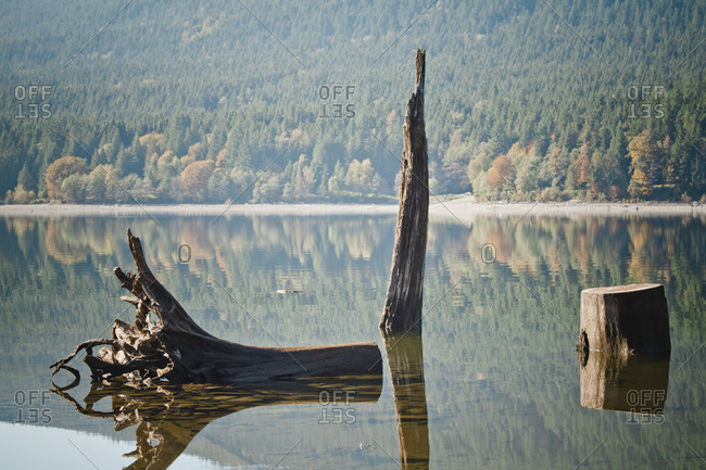 Alouette Lake Forestry - Offset Collection