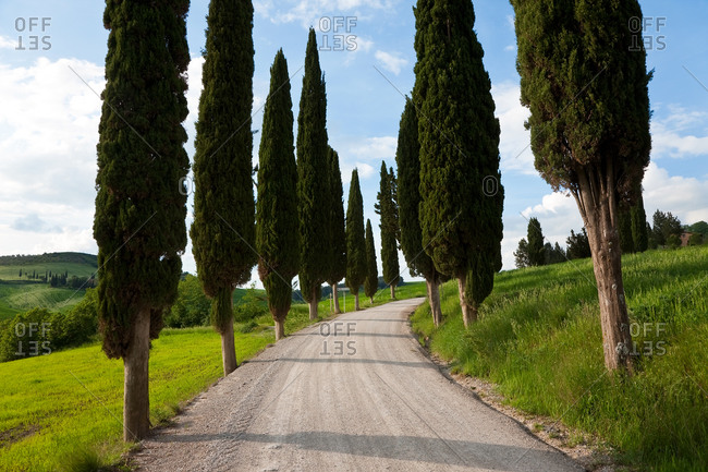 Winding road near Pienza in Tuscany, Italy