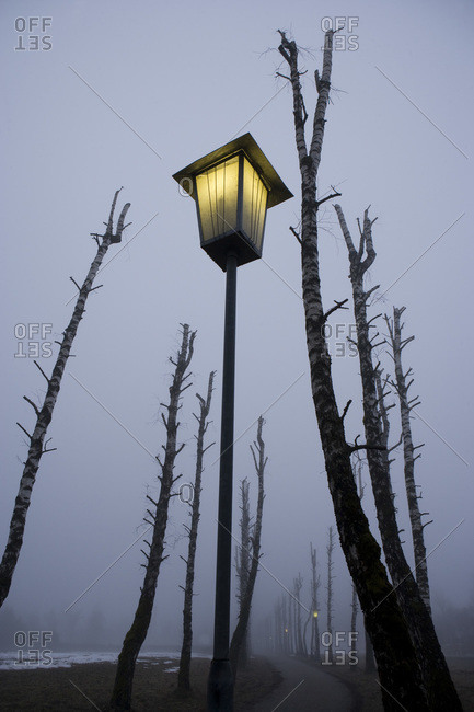 Austria, Salzkammergut, Mondsee, Bare trees and lighted street lamp