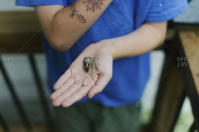 Boy holding a tiny rodent skull