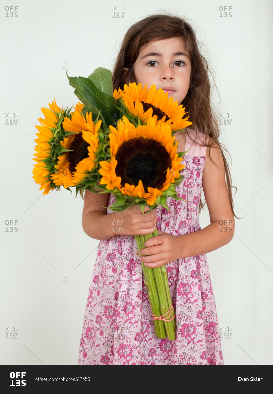 Portrait of young girl holding sunflowers
