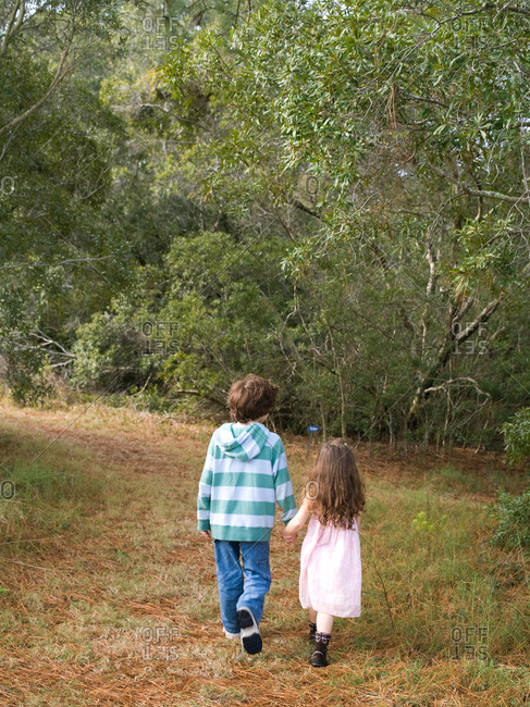 Rear view of sister and brother walking in forest