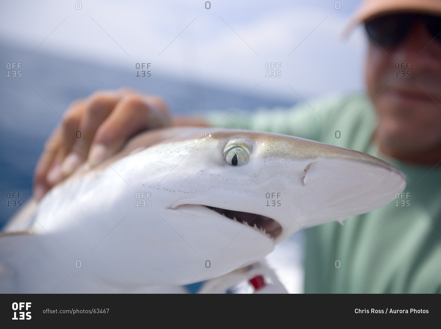 A fisherman holds a green eyed shark stock photo - OFFSET