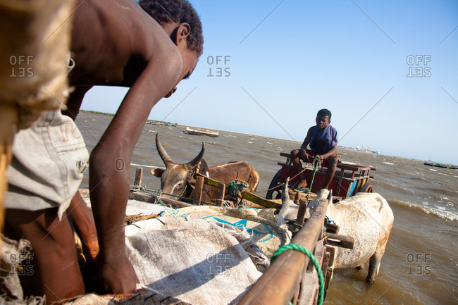 Young boys loading cart Tulear, Madagascar