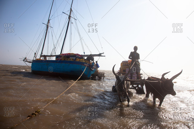 Cart bringing supplies from ship Tulear, Madagascar