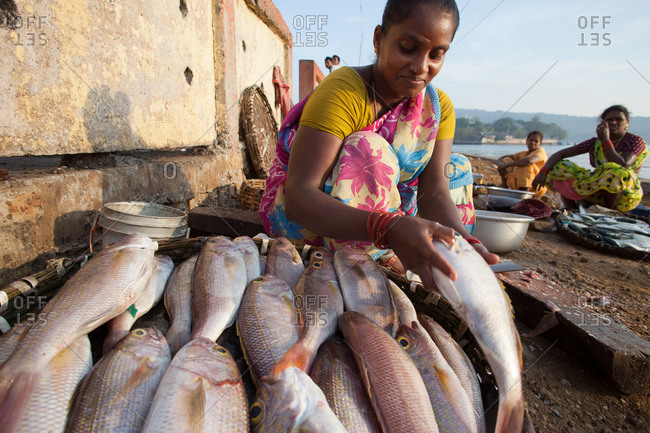 Indian woman selling fish Andaman Islands, India