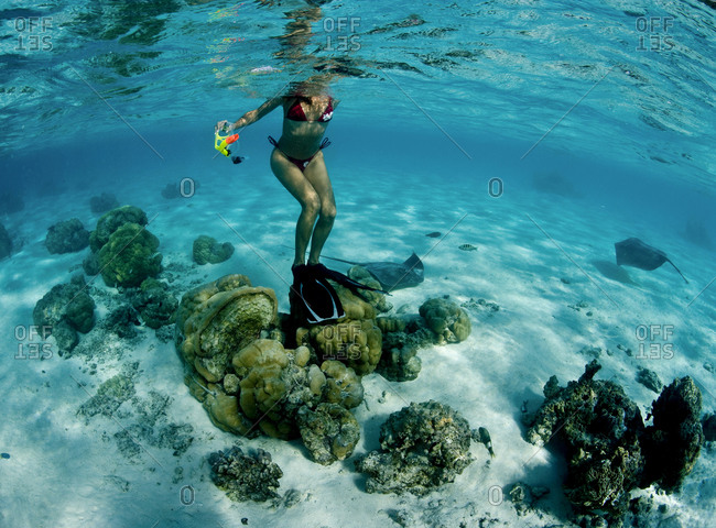 Snorkeler Causes Potential Damage to Coral.