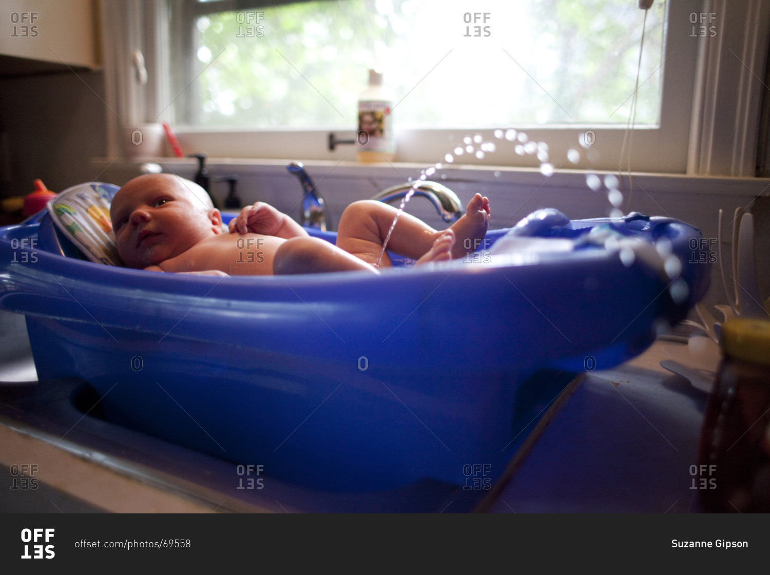 A Baby Boy Urinates During Bath Stock, Baby Boy Bathtub