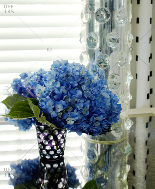 Bouquet of blue flowers in a vase
