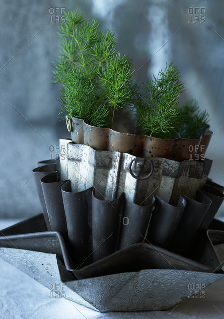 Stack of vintage cake tins with plant