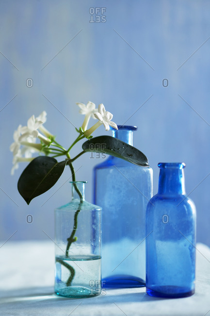 Medicine bottles with flower