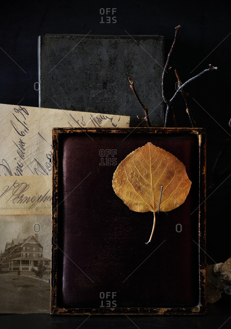 Still life with vintage objects