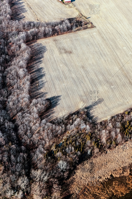 Aerial view of autumn fields at sunset with long shadows