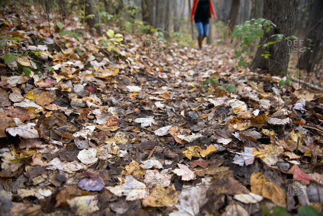Low-section view of woman walking in forest