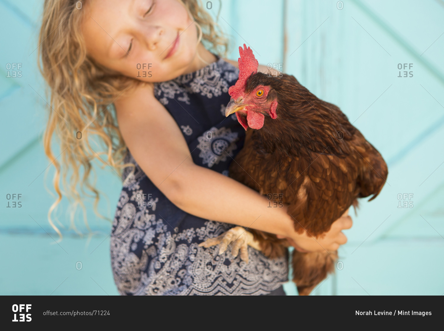 Cute girl holding a red chicken in her arms