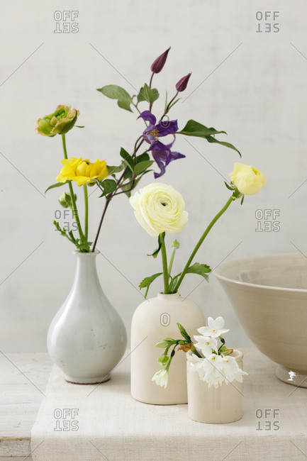 Different Type Of Flowers In Different Shape Of Vases Stock Photo