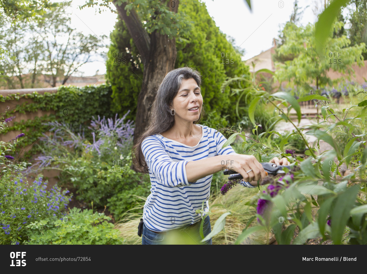 Woman pruning flowers in garden