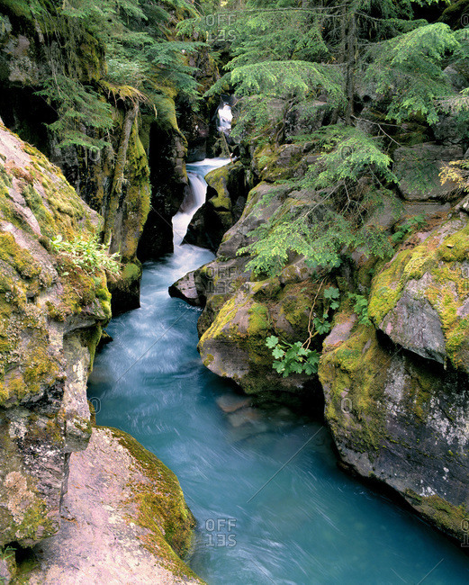 The blue waters of Avalanche Creek cut through moss-dappled rocks in Glacier NP, Montana.