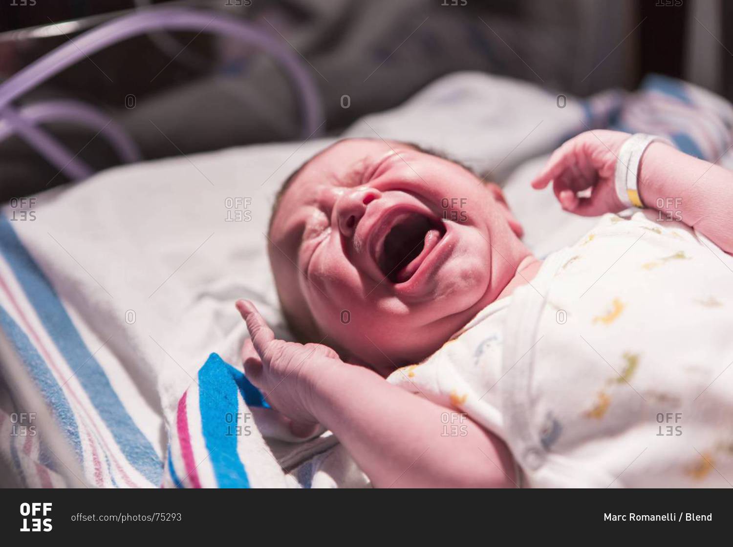 Newborn Baby Crying In Hospital Crib Stock Photo Offset