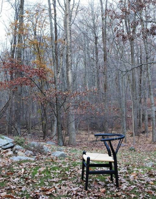 Chair around bare trees - Offset
