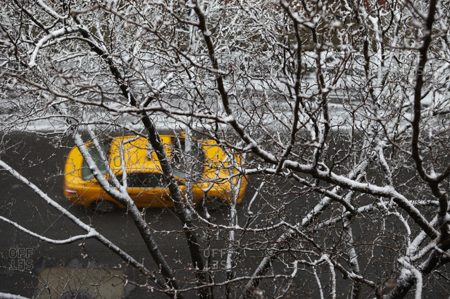 Taxi wait on West 49th street in snow, New York City