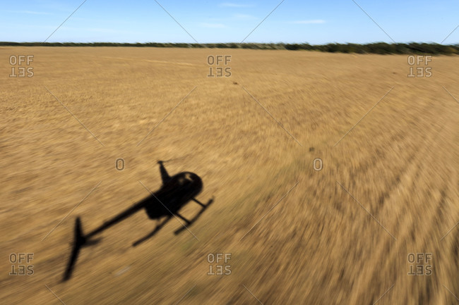 Shadow of helicopter in field