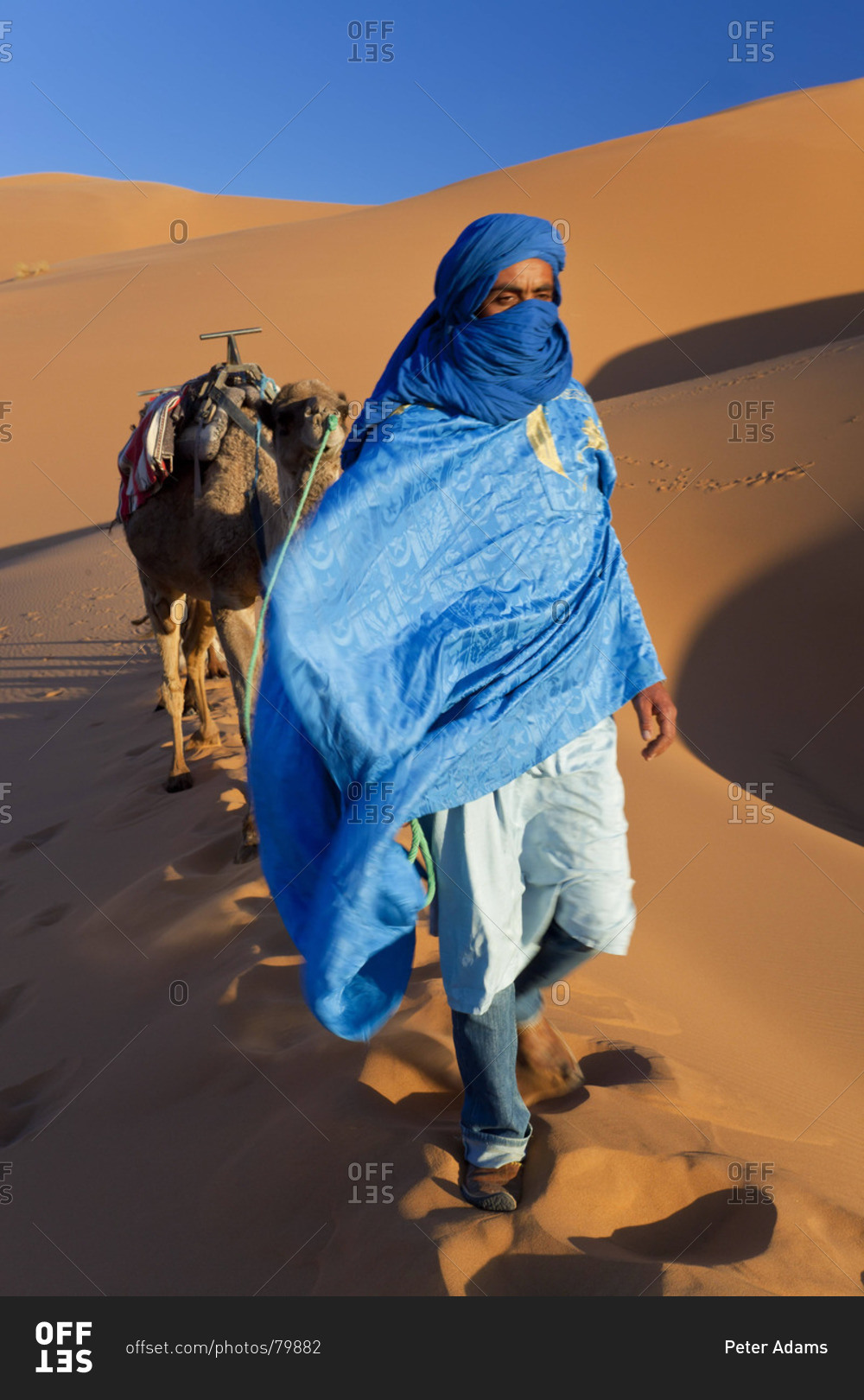 Tuareg man with camel train, Erg Chebbi, Sahara Desert, Morocco