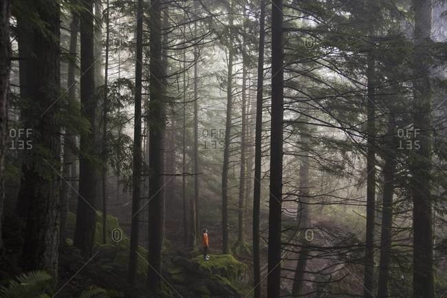 A man stands on a mossy rock overlooking a thick forest on a foggy morning near North Bend, Washington.