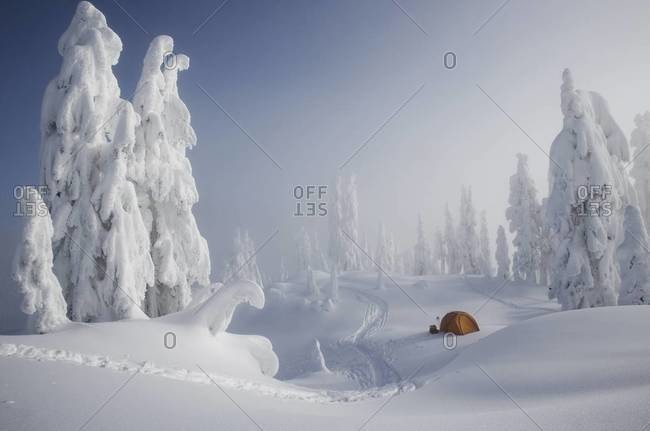 A bright orange tent among snow covered trees, on a snowy ridge overlooking a mountain in the distance.