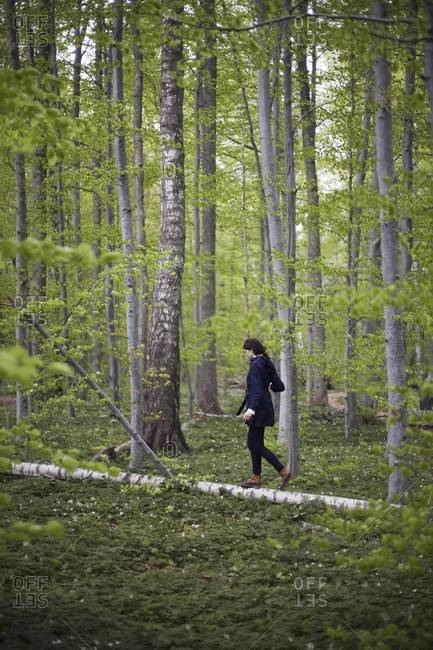 A woman walking along a fallen tree trunk in the woods.