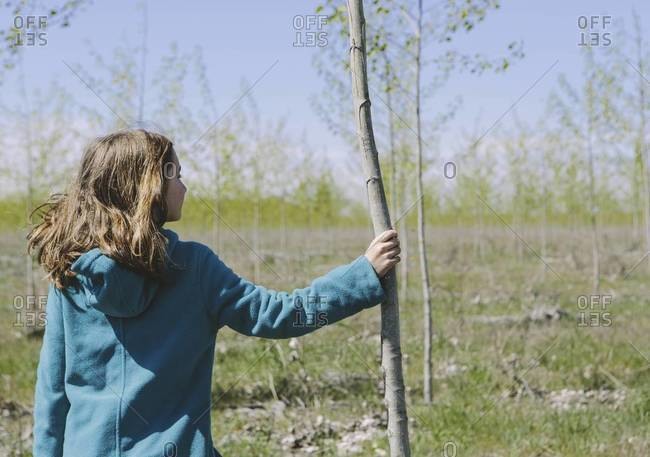 Ten year old girl standing next to commercially grown poplar tree on large tree farm, near Pendleton, Oregon.