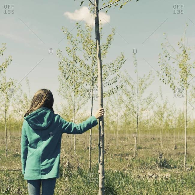Ten year old girl standing next to commercially grown poplar tree on large tree farm, near Pendleton, Oregon.