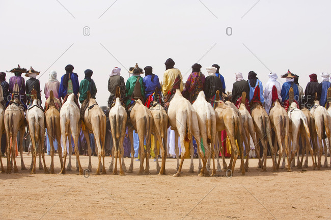 Rear view of men on camel back at cure salee