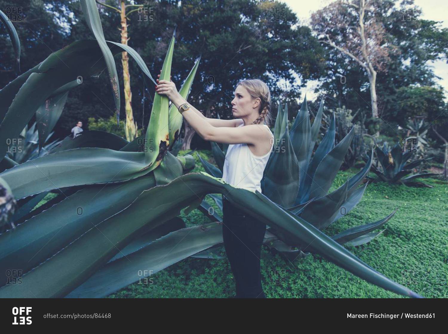 Italy, Sicily, young woman freeing a gigantic, Botanical Gardens of Palermo