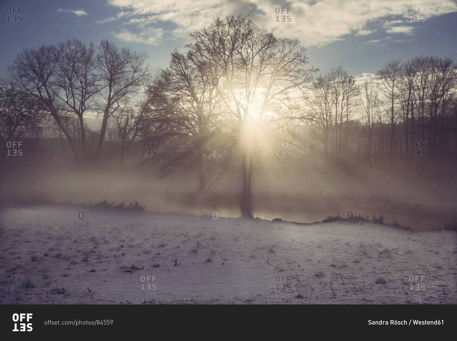Germany, Bavaria, Landshut, winter landscape with morning sun