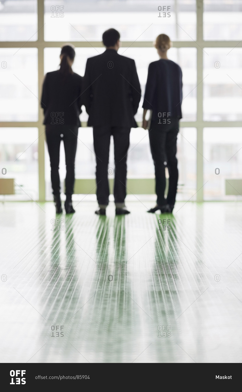 Rear view of business people standing in office