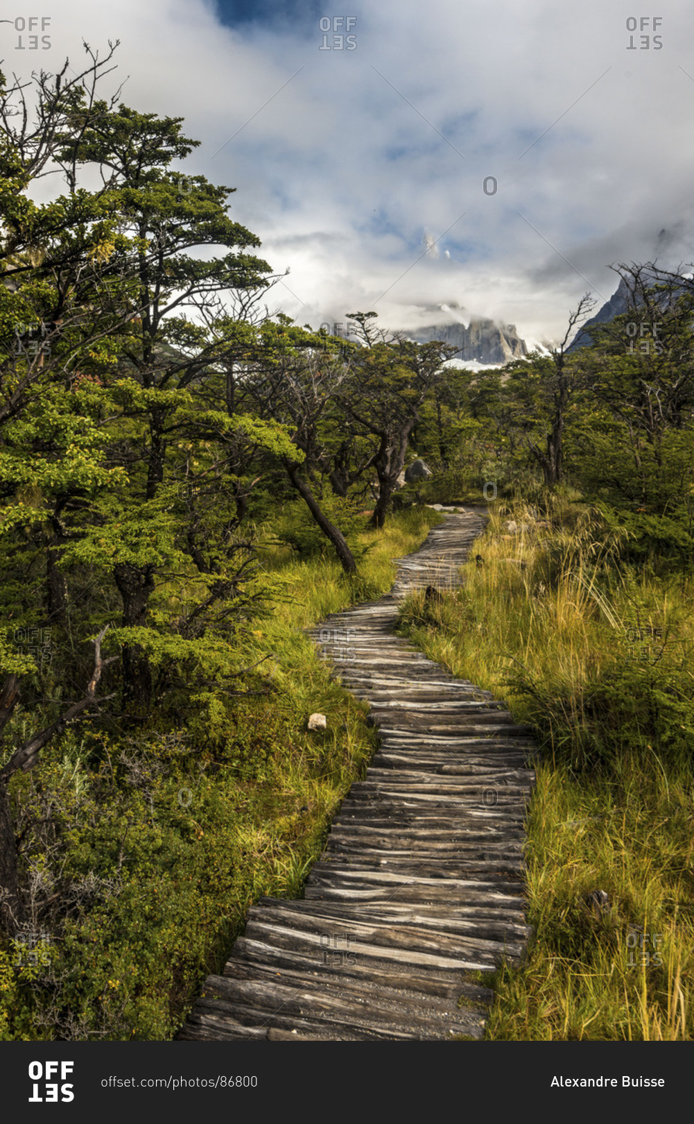 Trail leads to Cerro Torre, Patagonia, Argentina