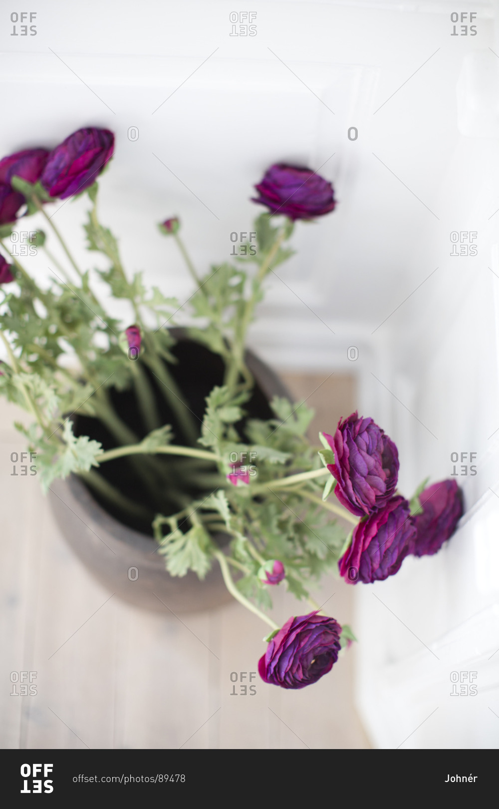 Purple flowers in vase, high angle view